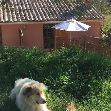 Séjour à la campagne Une Pause En Foret *